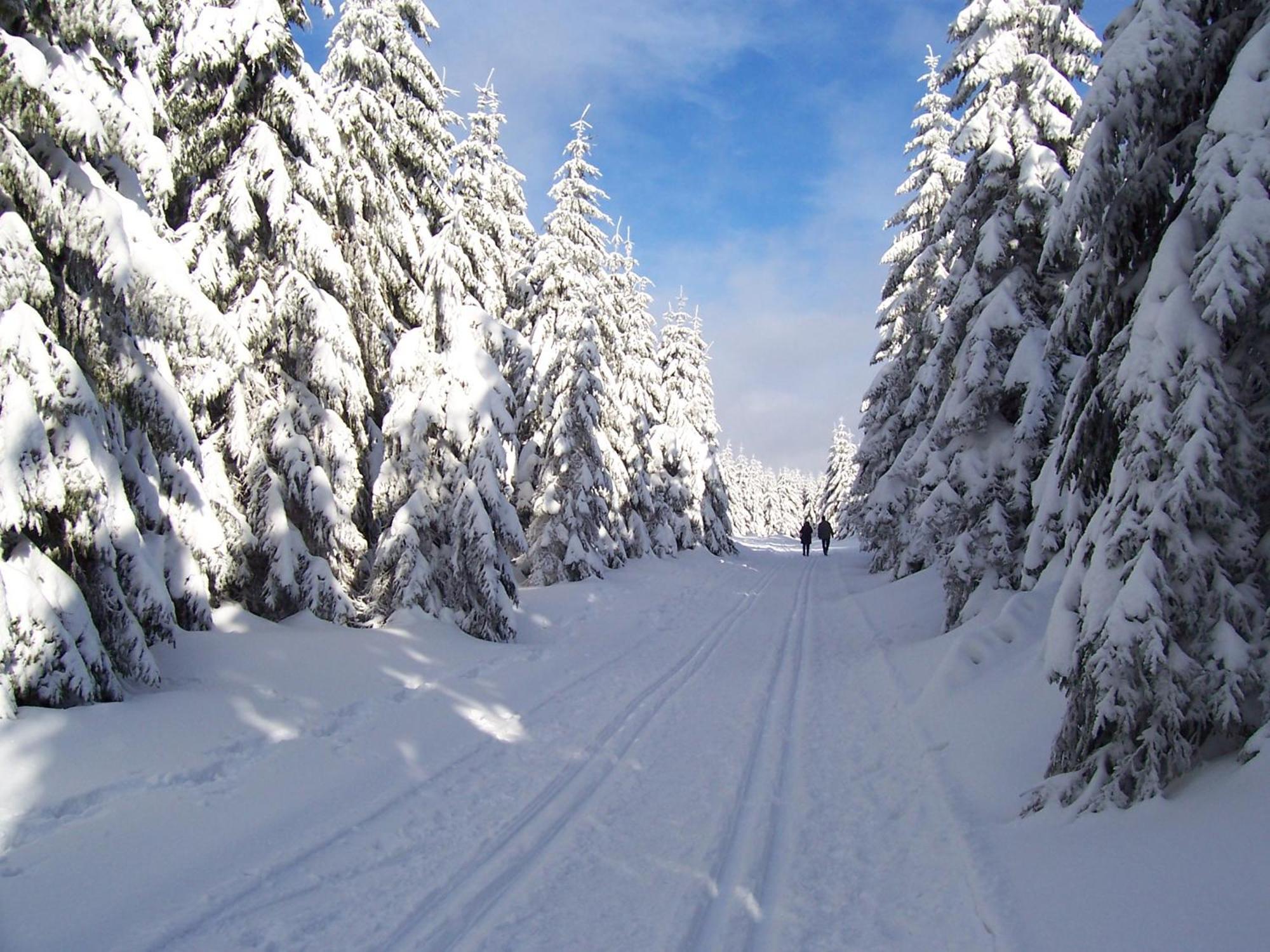 Chalet Sonnenhang Oberhof Оберхоф Екстериор снимка